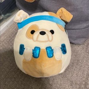 Brock the Bulldog Squishmallow 8” BNWT